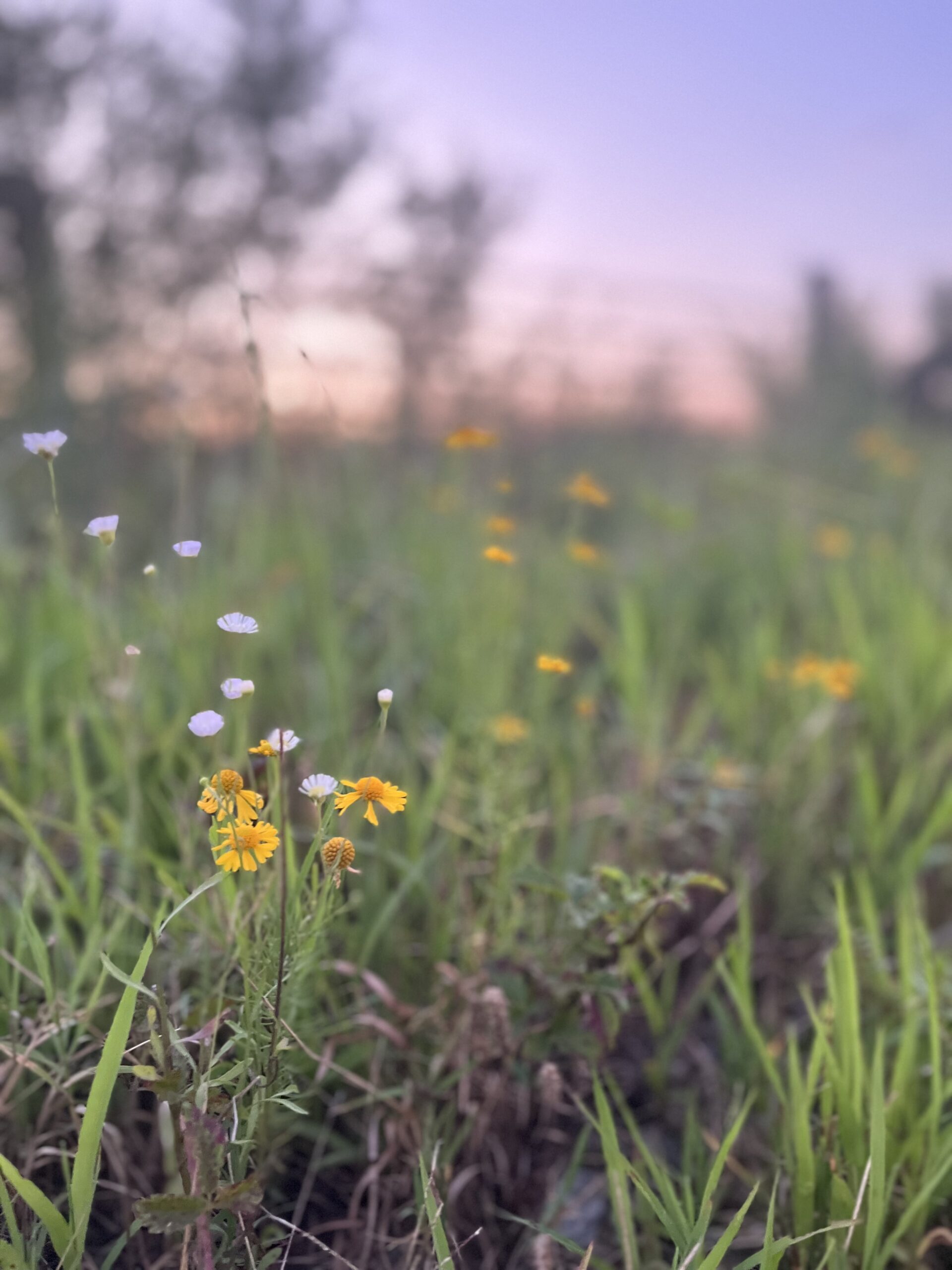 Open the Eyes of My Heart