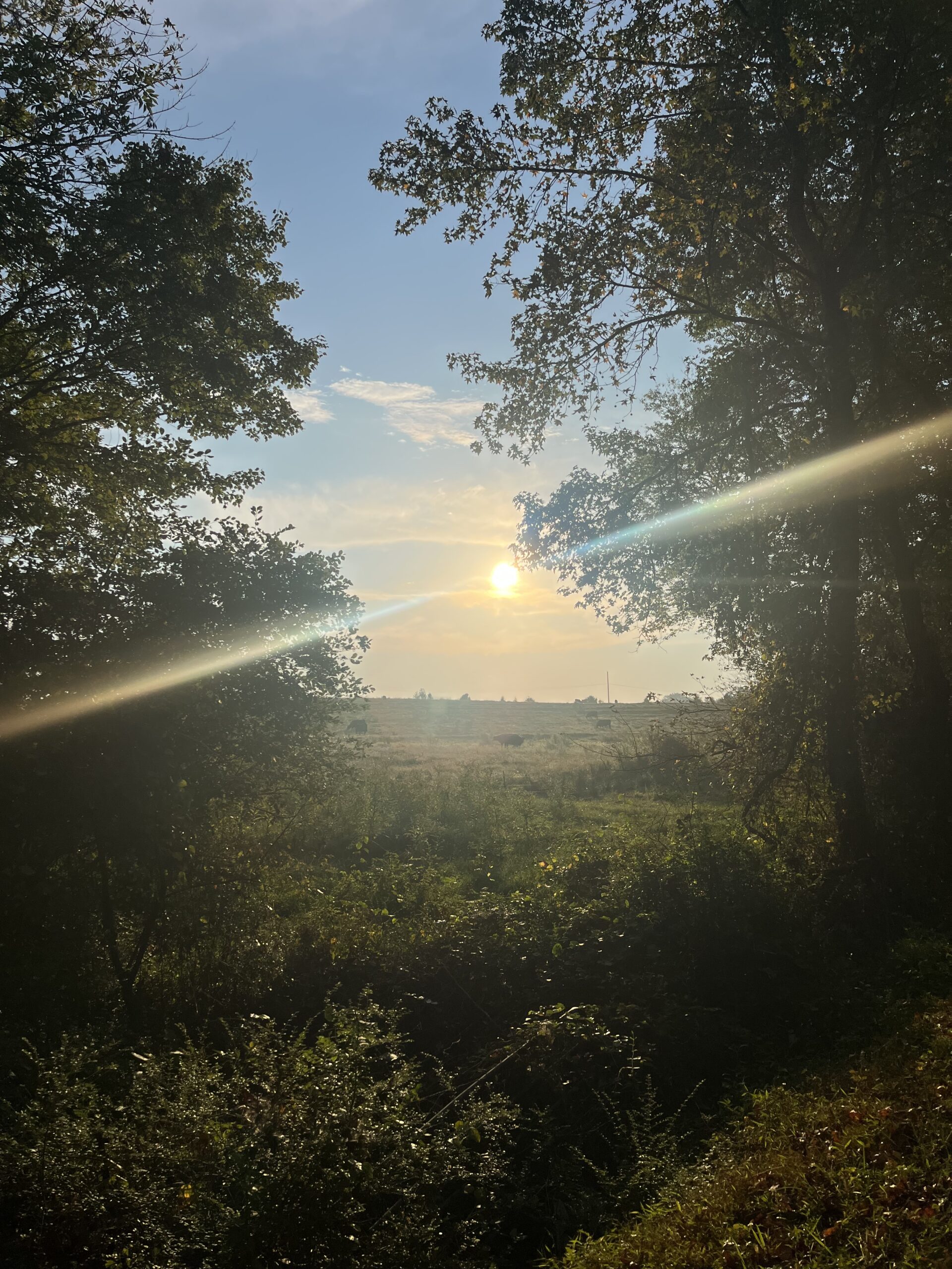 The One Who… Cares