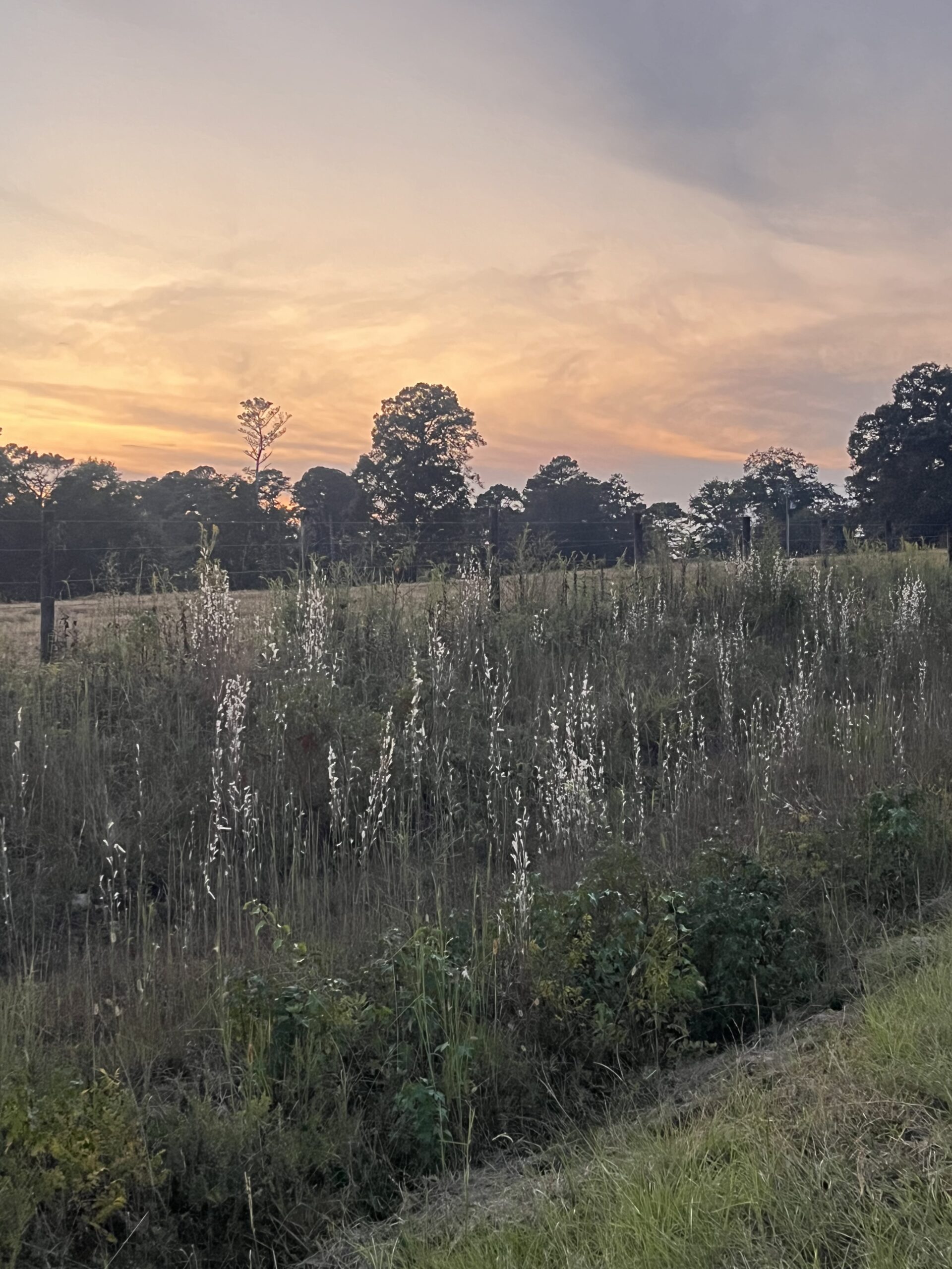 The One Who… is Present